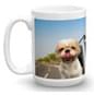 Photo Gifts